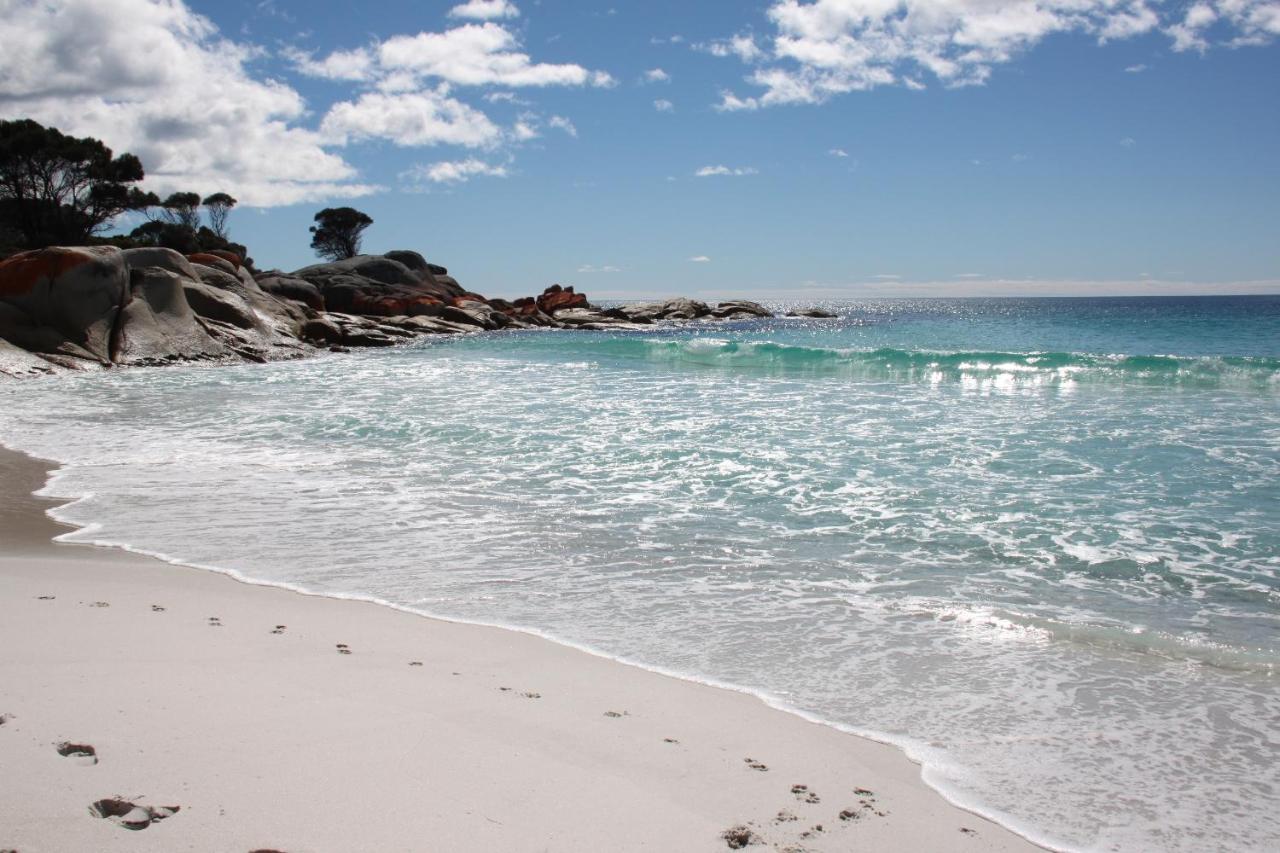 Sea Eagle Cottage Amazing Views Of Bay Of Fires Binalong Bay Esterno foto